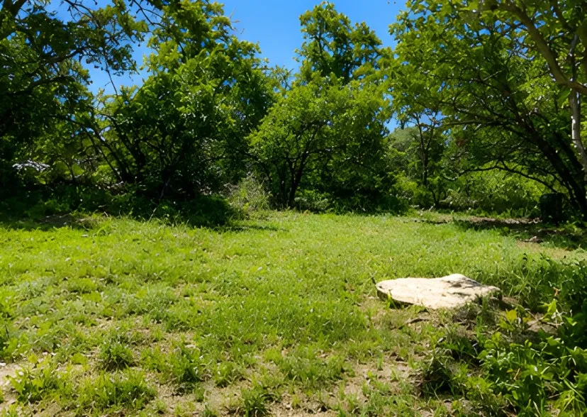 7007 Killarney Drive Brownwood, TX 76801
