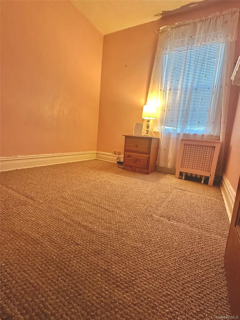 10048 222nd Street Queens Village, NY 11429
