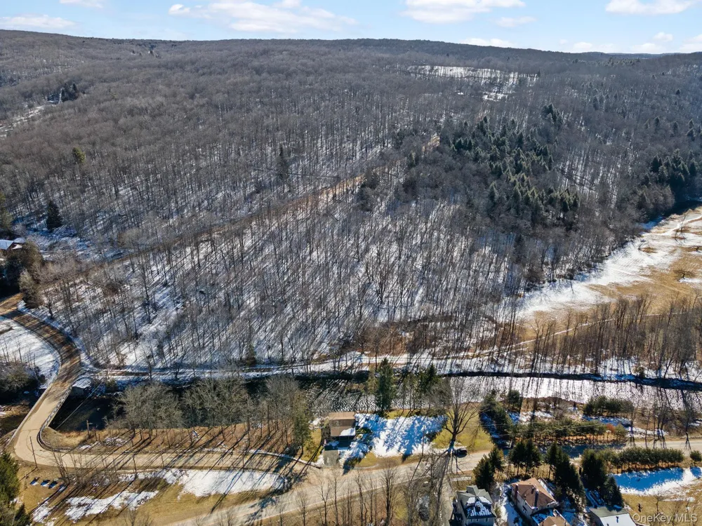 640 Debruce Road Livingston Manor, NY 12758