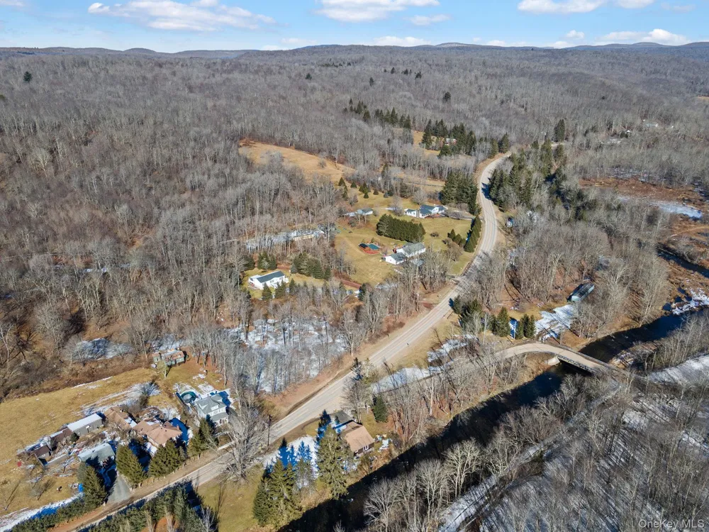 640 Debruce Road Livingston Manor, NY 12758