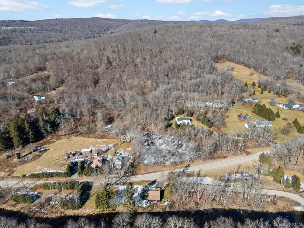 640 Debruce Road Livingston Manor, NY 12758