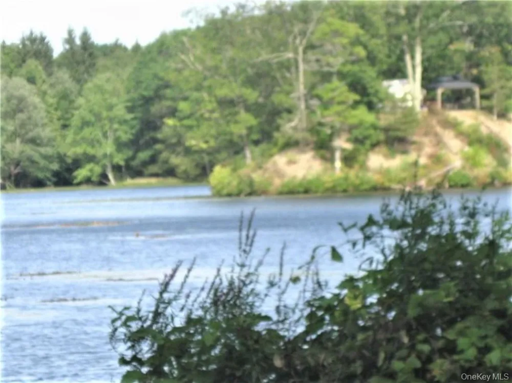 525 Lake Road ##3 Pine Plains, NY 12567