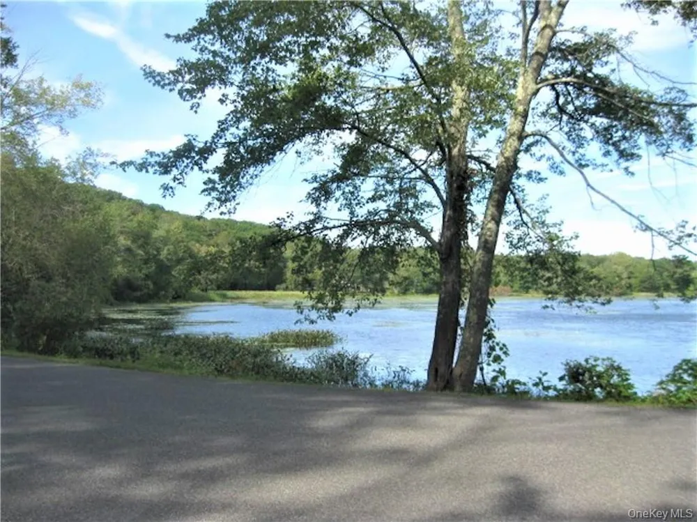 525 Lake Road ##3 Pine Plains, NY 12567