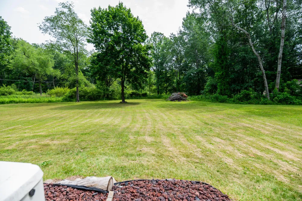 989 McCabe Avenue NE Ada Township, MI 49301