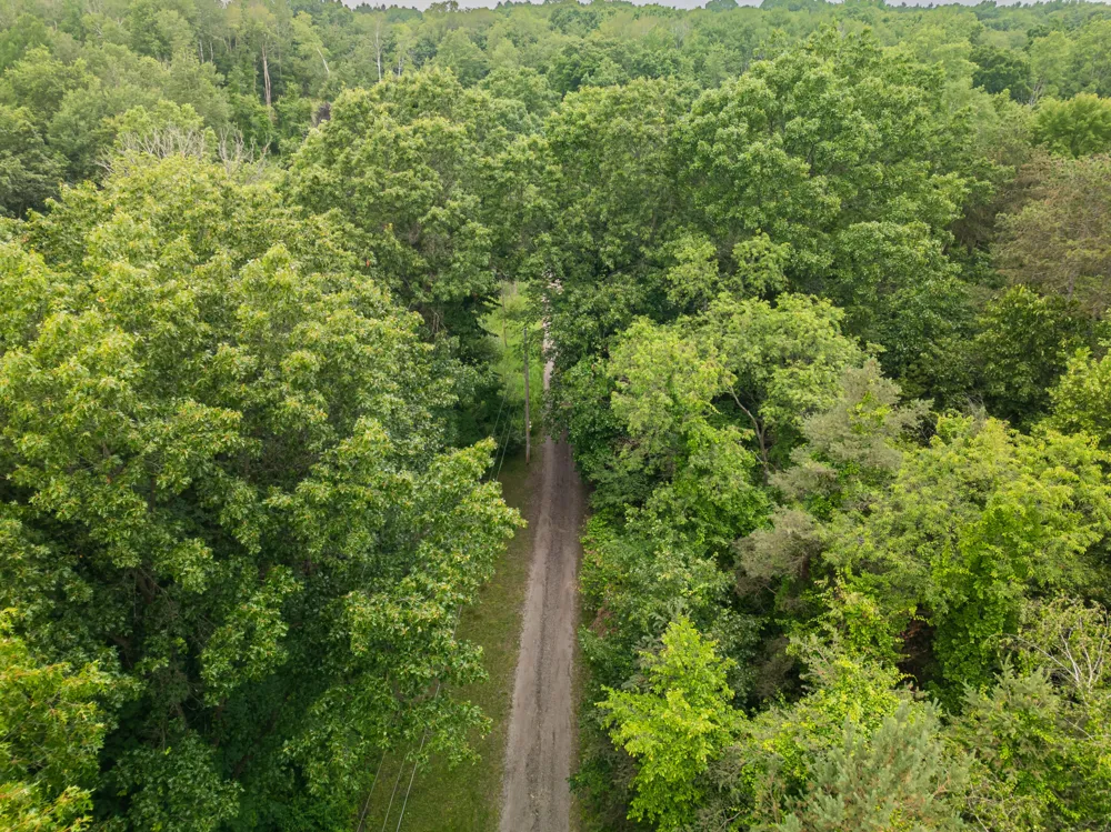 989 McCabe Avenue NE Ada Township, MI 49301
