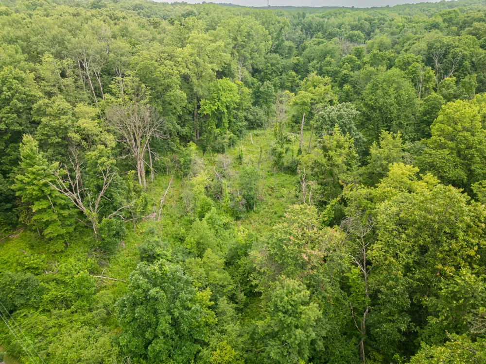 989 McCabe Avenue NE Ada Township, MI 49301