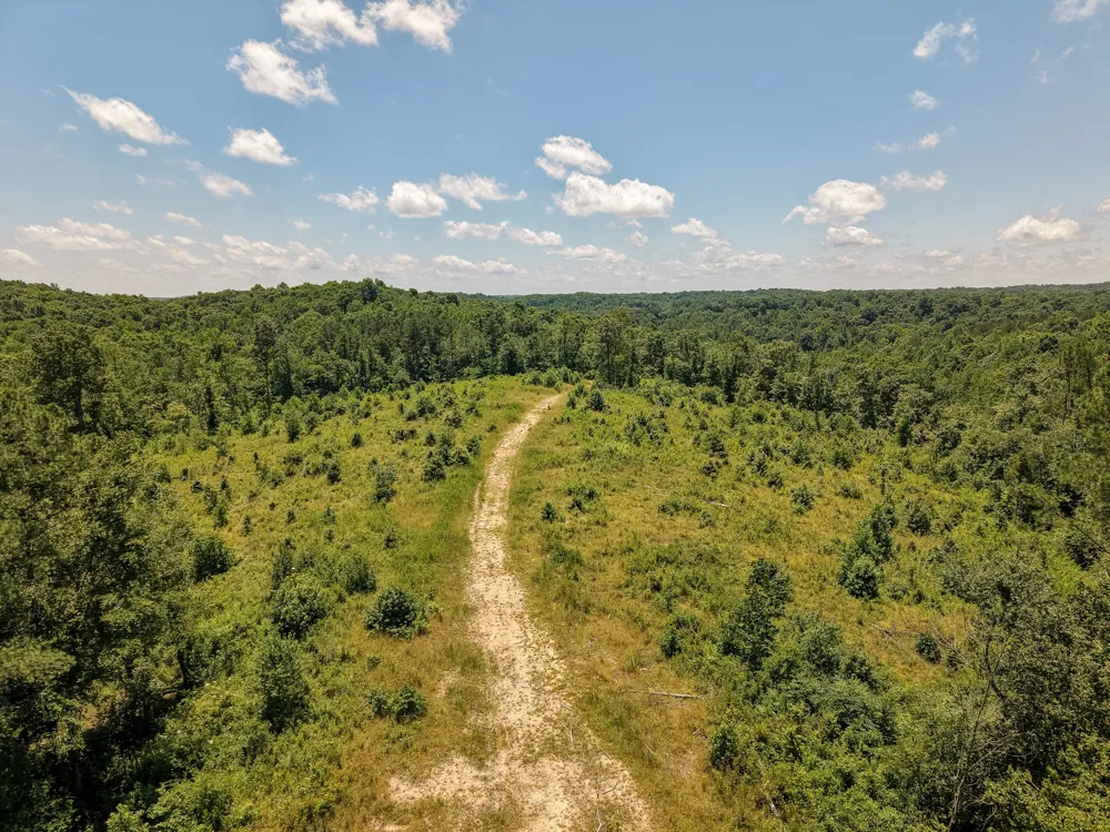111 Adaleighs Way Big Sandy, TN 38221