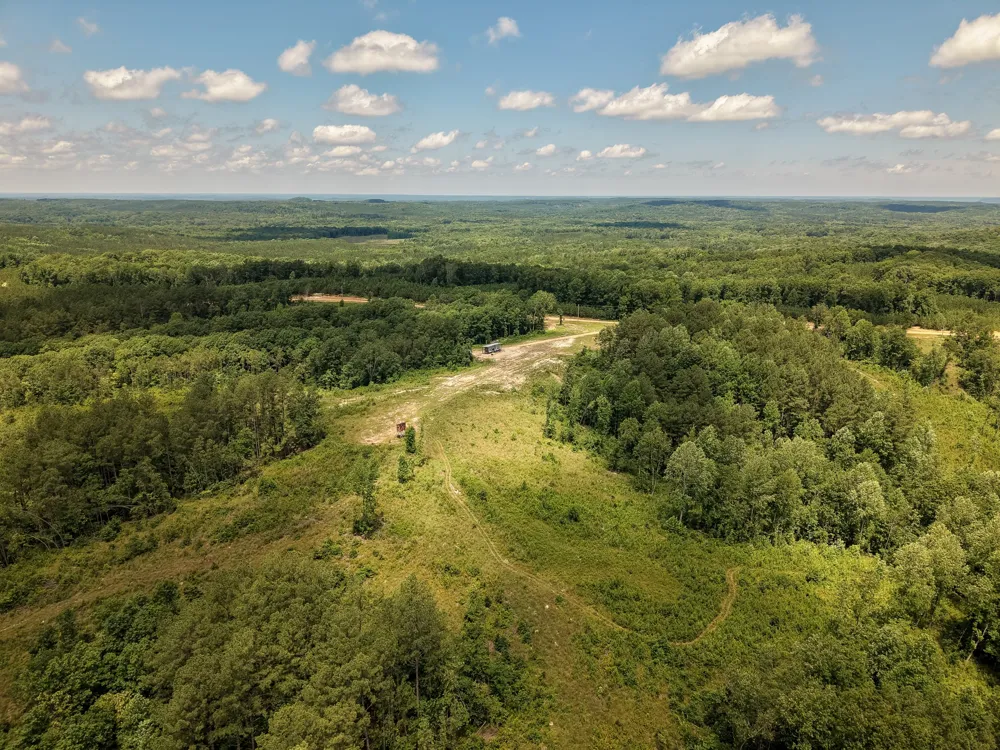 111 Adaleighs Way Big Sandy, TN 38221