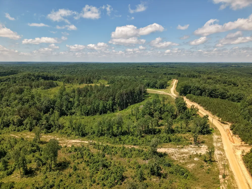 111 Adaleighs Way Big Sandy, TN 38221