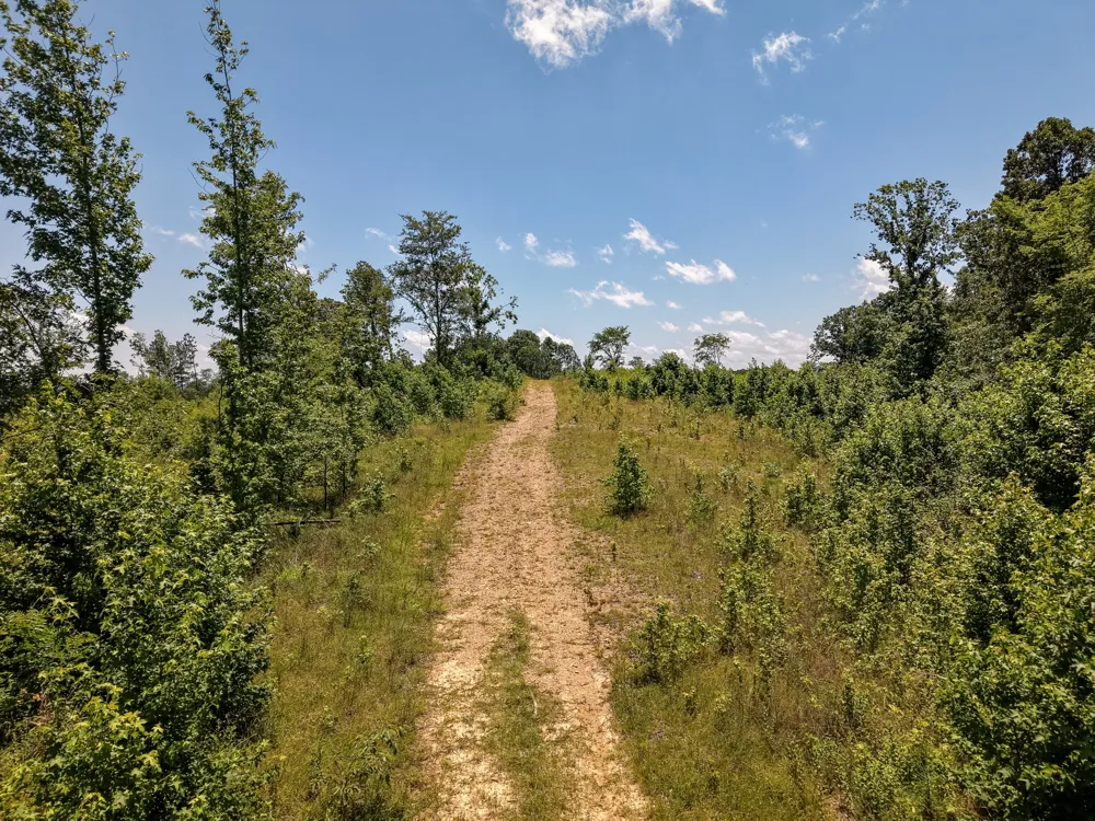 111 Adaleighs Way Big Sandy, TN 38221