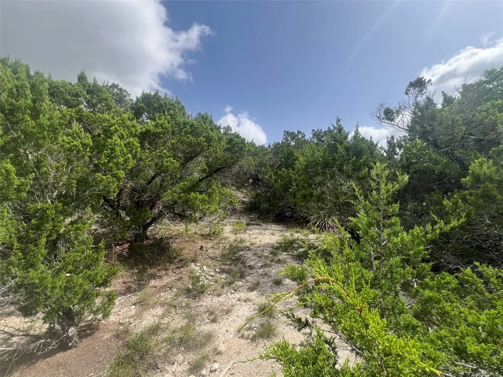 268 Scenic Hills Drive Canyon Lake, TX 78133
