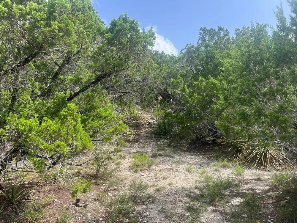 268 Scenic Hills Drive Canyon Lake, TX 78133