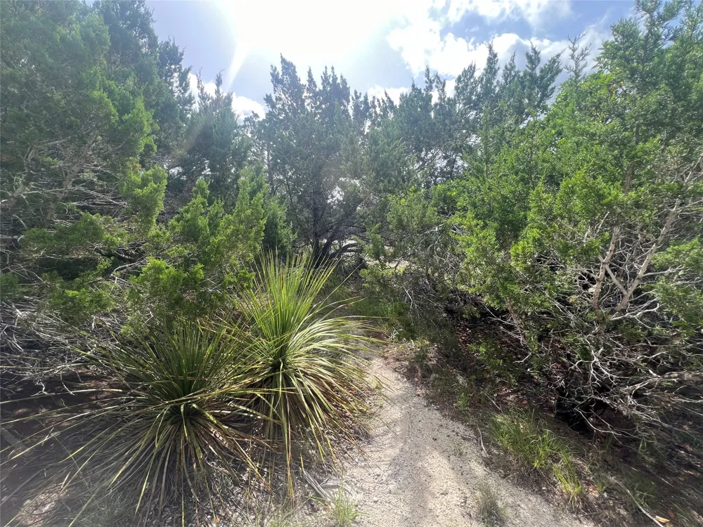 268 Scenic Hills Drive Canyon Lake, TX 78133