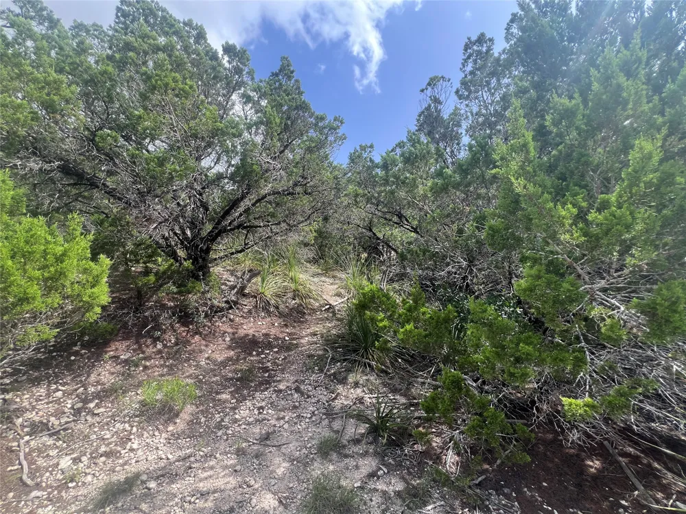 268 Scenic Hills Drive Canyon Lake, TX 78133