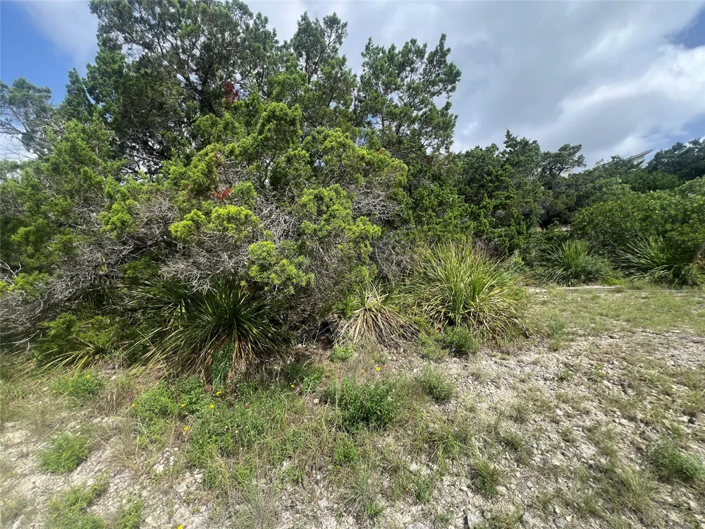 268 Scenic Hills Drive Canyon Lake, TX 78133