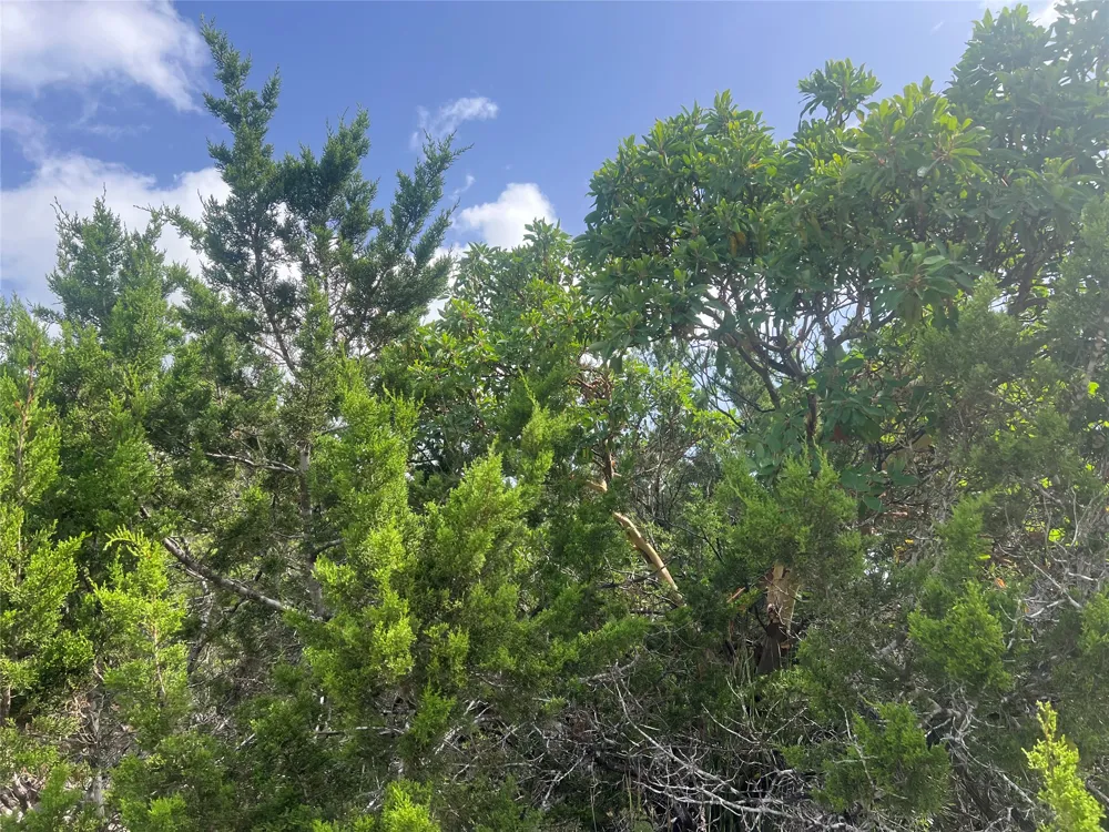 268 Scenic Hills Drive Canyon Lake, TX 78133