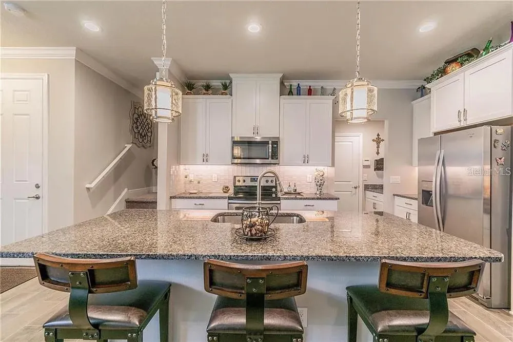 18814 CORNUTA STREET Lutz, FL 33558