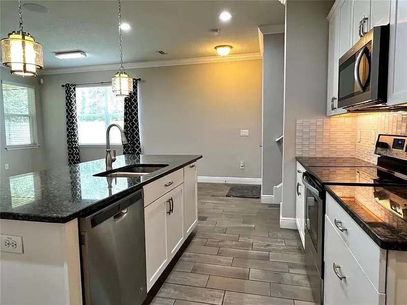18814 CORNUTA STREET Lutz, FL 33558