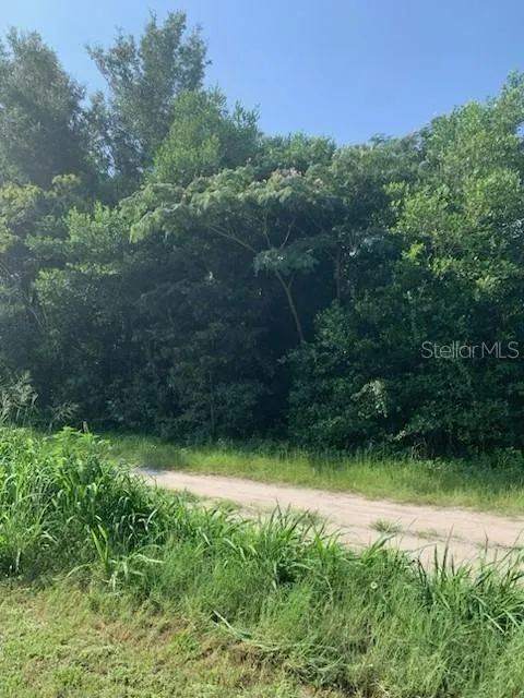 TBD SE 145TH PLACE Summerfield, FL 34491