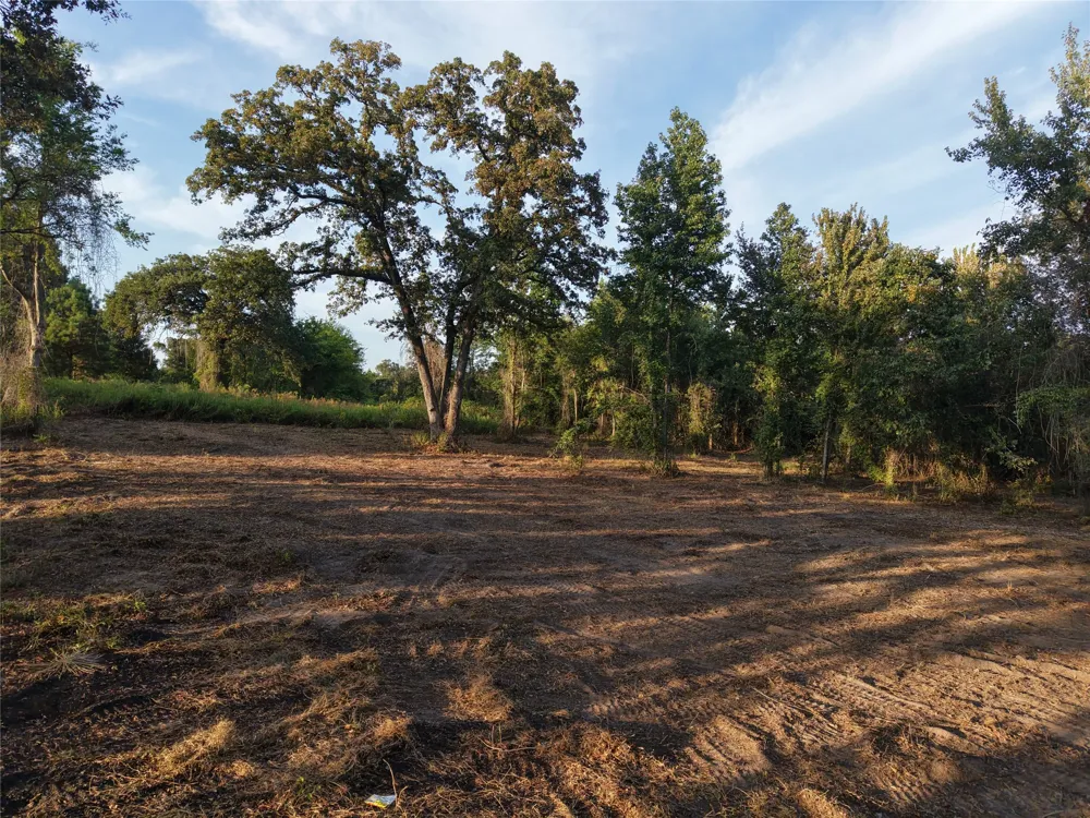 CR 3211 Pittsburg, TX 75686