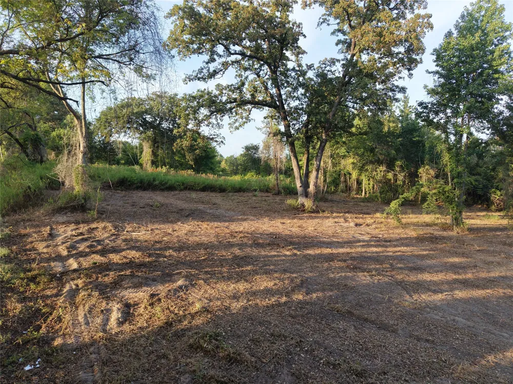 CR 3211 Pittsburg, TX 75686