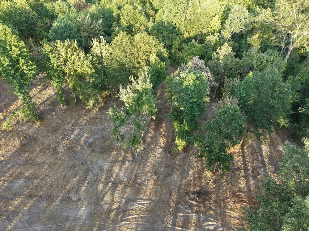 CR 3211 Pittsburg, TX 75686