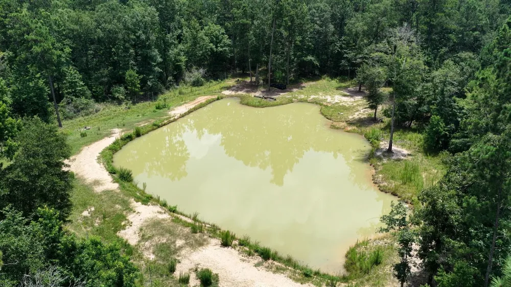 856 State Highway 150 New Waverly, TX 77358