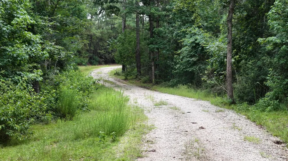 856 State Highway 150 New Waverly, TX 77358