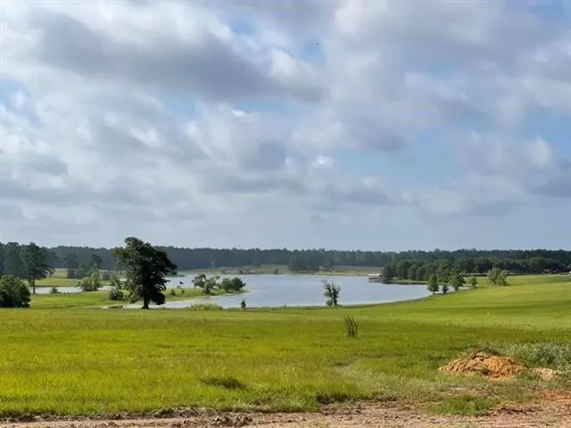 84 Lakeland Loop Hillister, TX 77624
