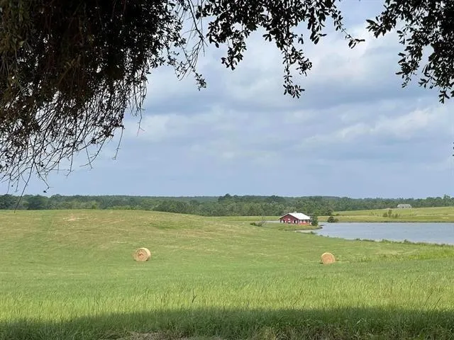 84 Lakeland Loop Hillister, TX 77624