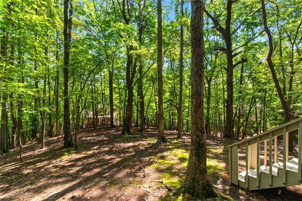 118 Soaring Hawk Circle Big Canoe, GA 30143