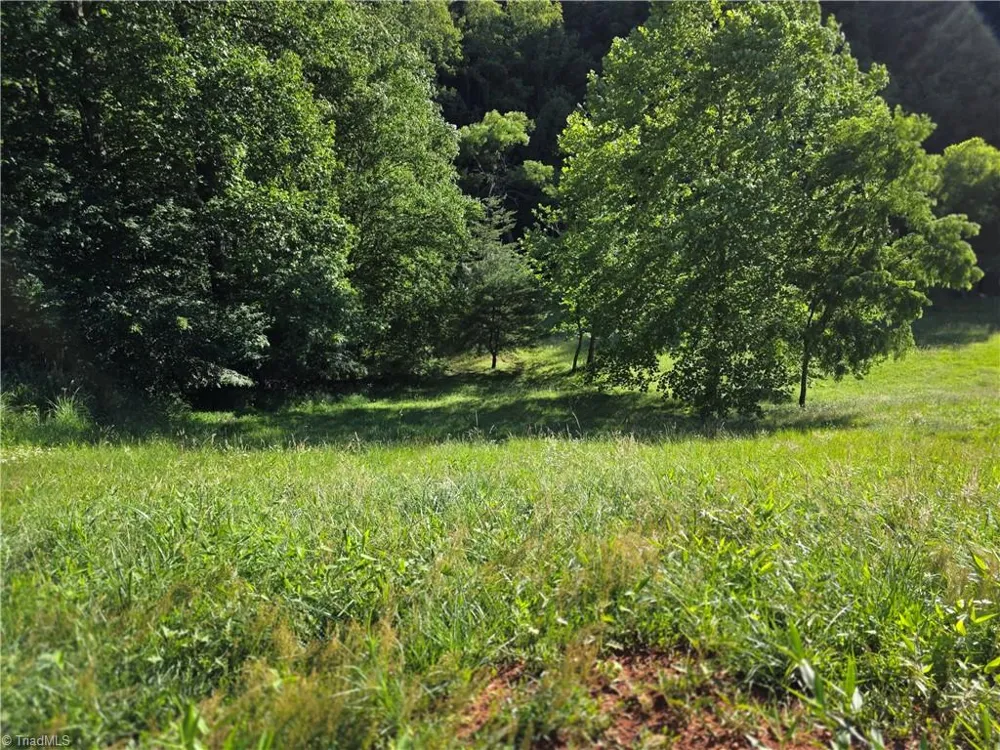 3205 Sheets Gap Road Millers Creek, NC 28651