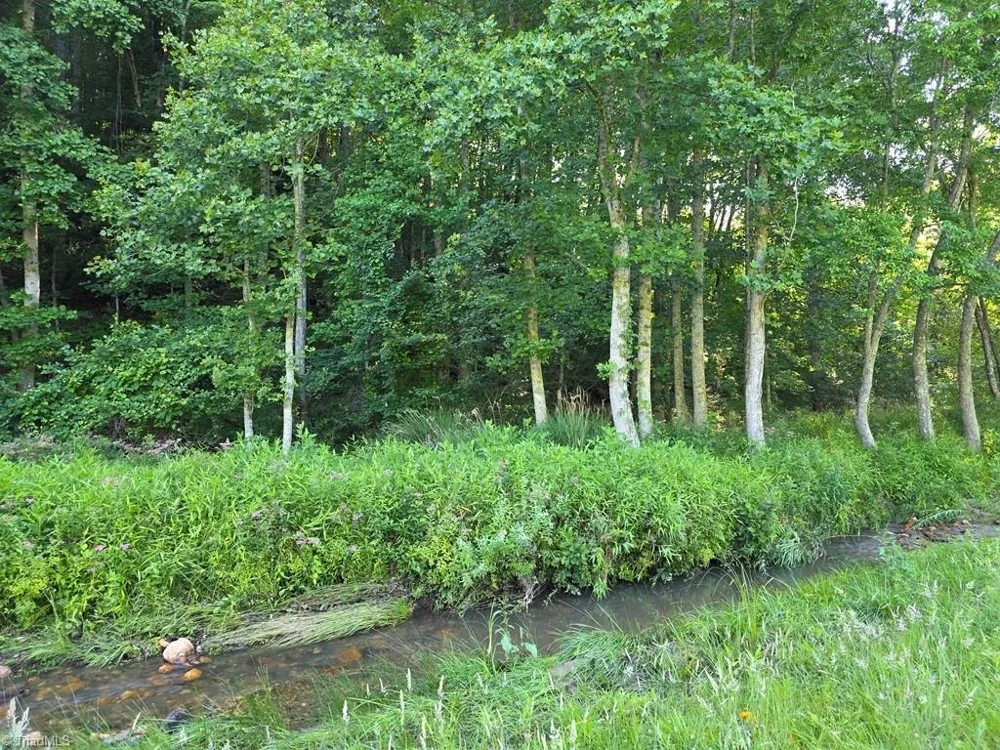 3205 Sheets Gap Road Millers Creek, NC 28651