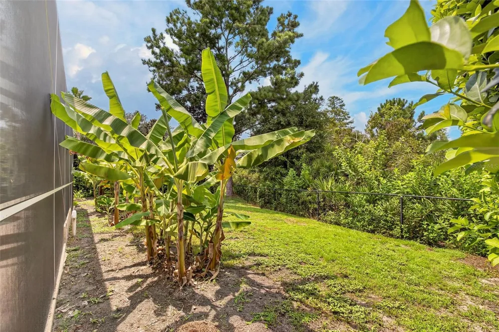10103 DEERCLIFF DRIVE Tampa, FL 33647
