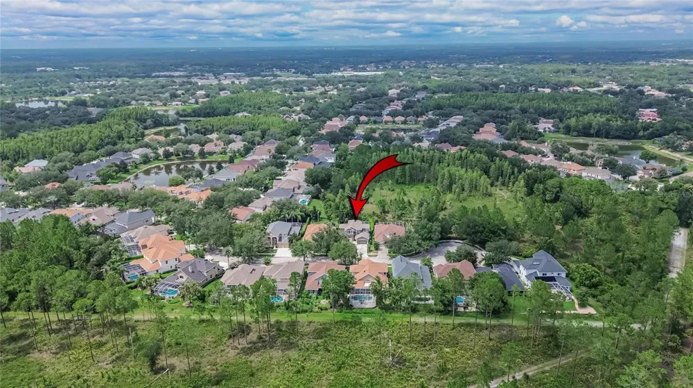 10103 DEERCLIFF DRIVE Tampa, FL 33647