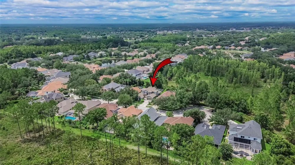 10103 DEERCLIFF DRIVE Tampa, FL 33647