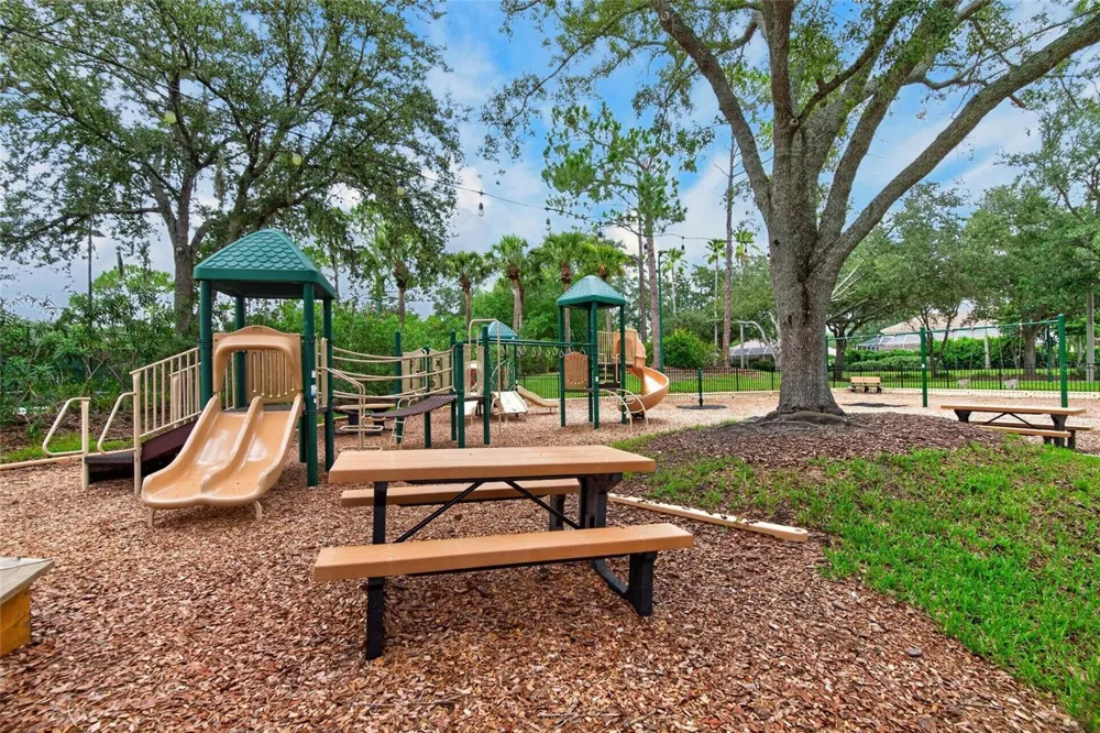 10103 DEERCLIFF DRIVE Tampa, FL 33647