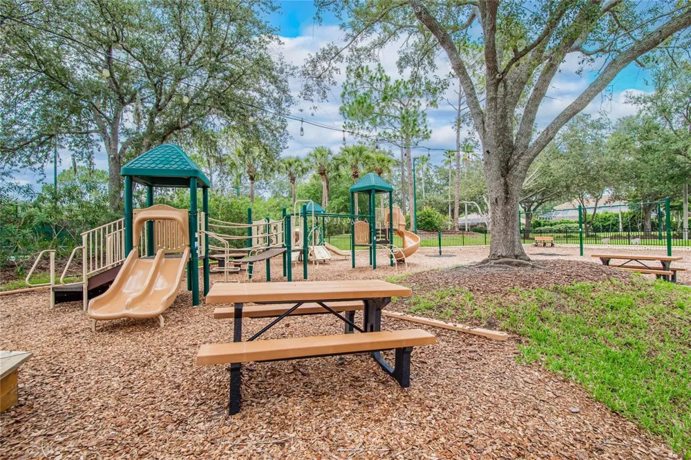 10103 DEERCLIFF DRIVE Tampa, FL 33647