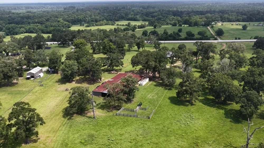 100 E Hill Ranch Lane New Waverly, TX 77358