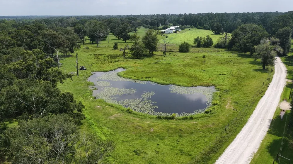 100 E Hill Ranch Lane New Waverly, TX 77358