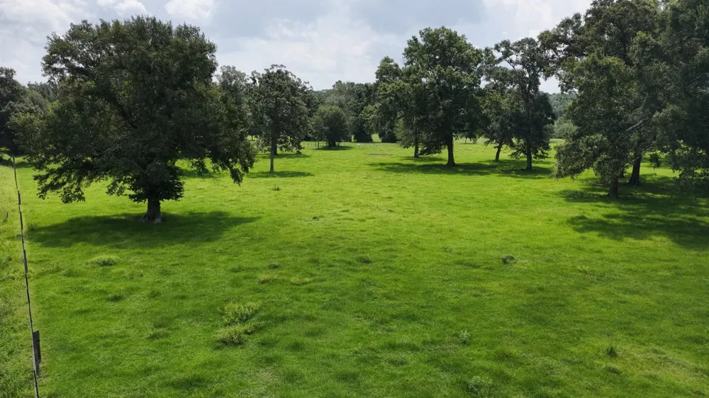 100 E Hill Ranch Lane New Waverly, TX 77358