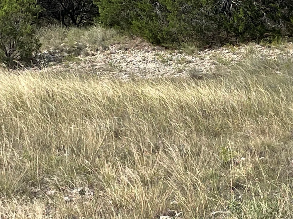 Penninsula Court Bluff Dale, TX 76433