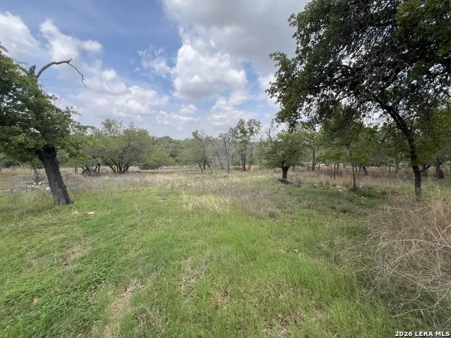 353 Eagle Ridge Floresville, TX 78114