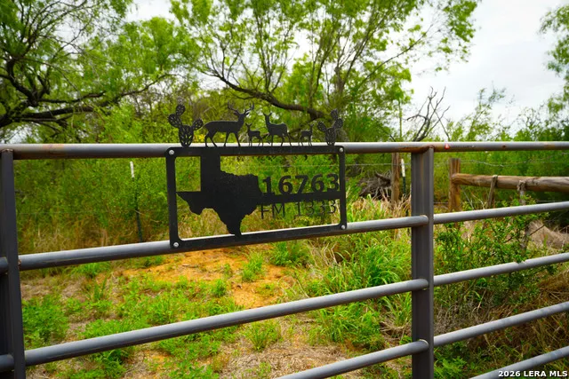 16763 Fm 1333 Charlotte, TX 78011