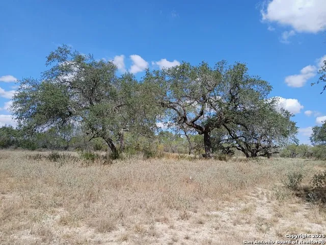 4415 State Highway 173 Bigfoot, TX 78005