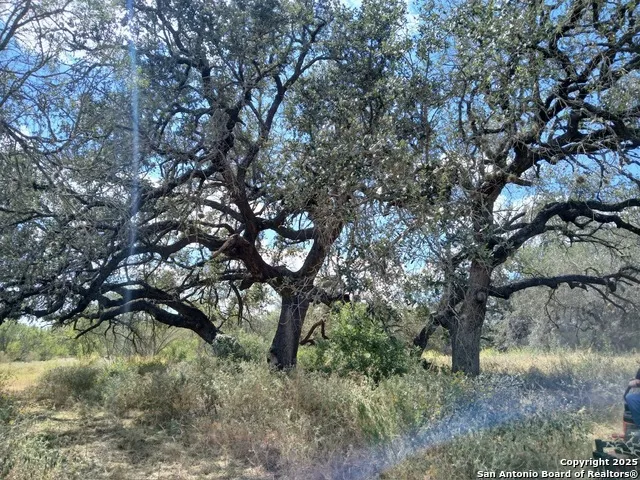 4415 State Highway 173 Bigfoot, TX 78005