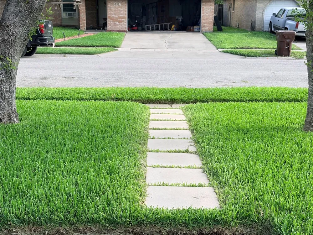 305 Birchwood Drive Kingsville, TX 78363