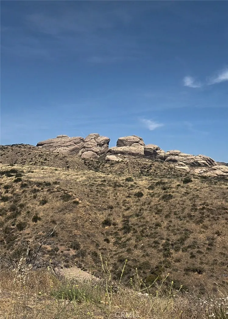 Briggs Road Agua Dulce, CA 91350