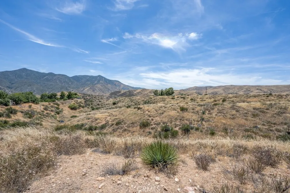 Briggs Road Agua Dulce, CA 91350