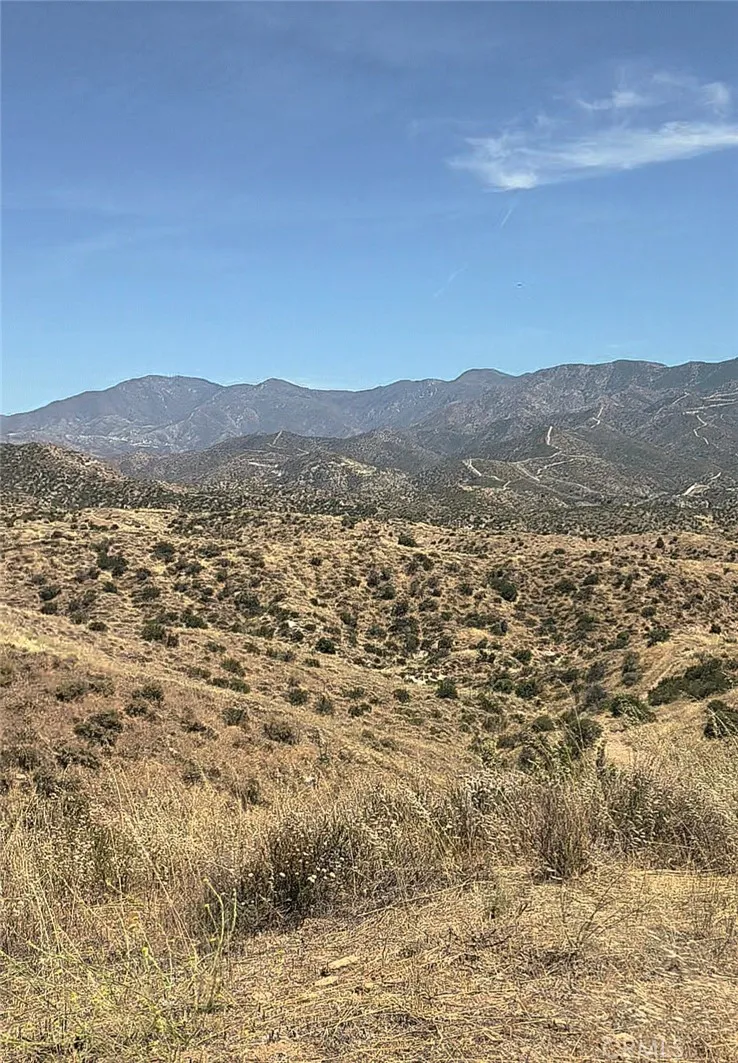 Briggs Road Agua Dulce, CA 91350